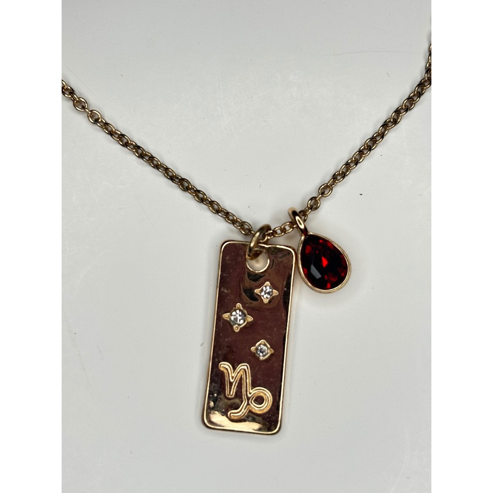 Vintage Celestial Capricorn Dog Tag Necklace Red Charm Gold Tone 18 Inch